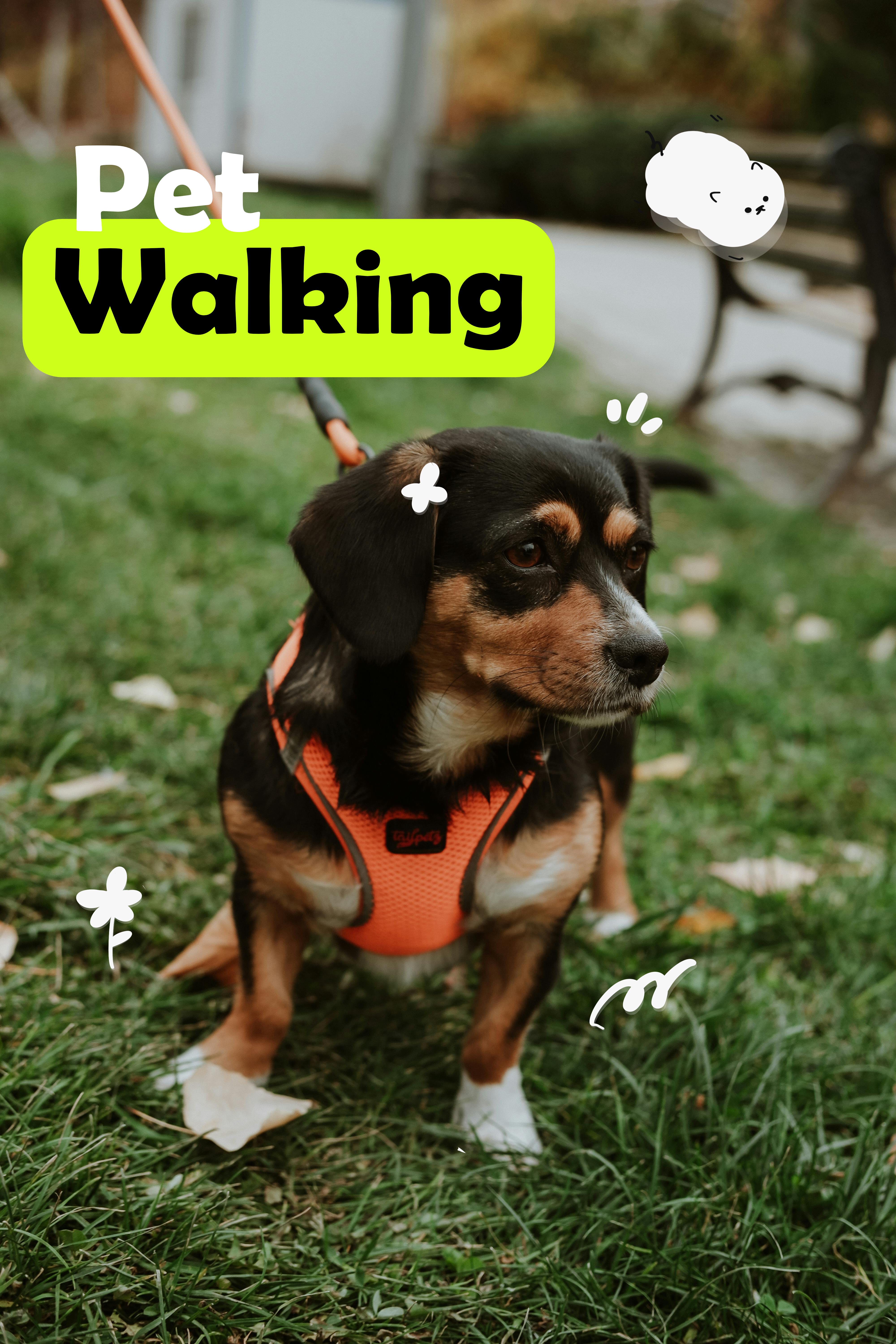 Pet Walking